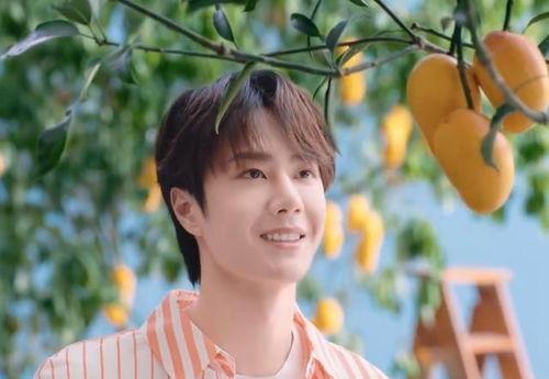 刘涛和王一博最新爆料,揭秘娱乐圈幕后故事 第3张 刘涛和王一博最新爆料,揭秘娱乐圈幕后故事 第3张